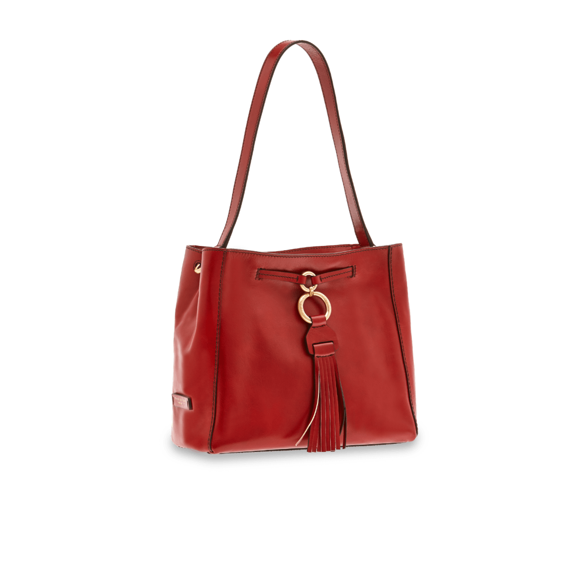 The Bridge Hobo Bag Rosso Ribes/oro 0411204N.2E