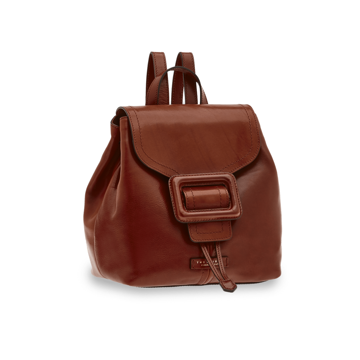 The Bridge Backpack Marrone/oro 0437794N